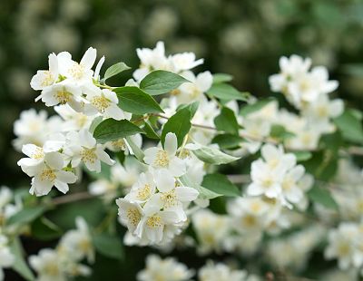 Otrdien mazināsies vēja brāzmas un spīdēs saule