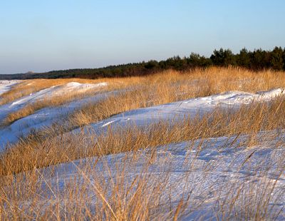 А неплохо! Суббота с морозцем и солнцем