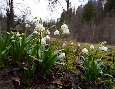 Otrdien gaiss iesils līdz +16 grādiem