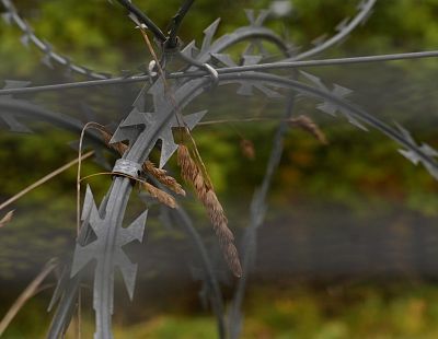 А пусть Украина предупреждает нас о дронах: власти признали проблемы с контролем границы