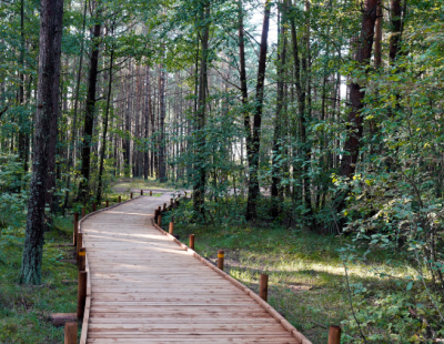 Кто стрелял в женщину в рижском лесу? Пострадавшая неделю ходила с пулей у позвоночника