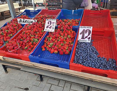 Мойте тщательно: на латвийских ягодах обнаружили яйца опасных паразитов