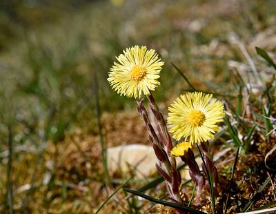 Антициклон над Латвией: потеплеют даже ночи!