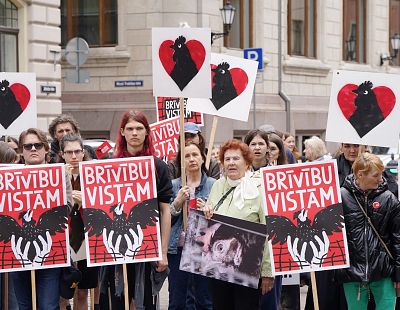 «Всех в каменоломни!» В сети обсуждают шествие «Свободу курам!»