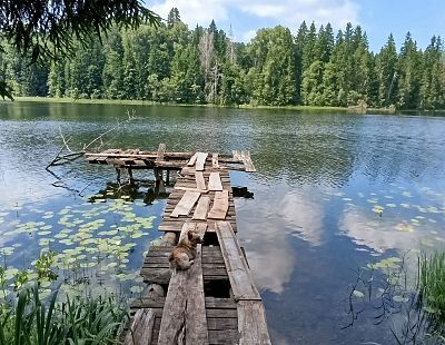На подходе грозы с сильными ливнями: погода в Латвии меняется