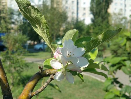 День будет сухим и солнечным, но холодным