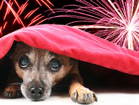 Пиротехнике — бой! Идёт сбор подписей за её полный запрет в Латвии