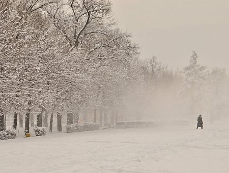 Сильные ветры, метели и рекордные морозы: подробный прогноз на февраль