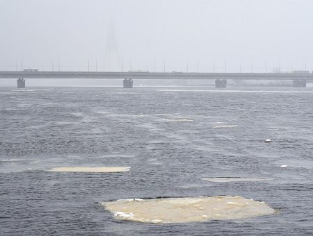 Трагедия на Островном мосту. Женщина спрыгнула и погибла