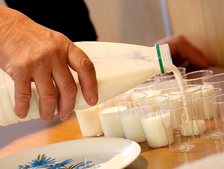 Десятки видов, цены разные: что нам продают под видом молока?