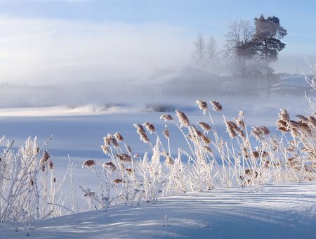 Сегодняшнее утро в Латвии — самое холодное за последние два года