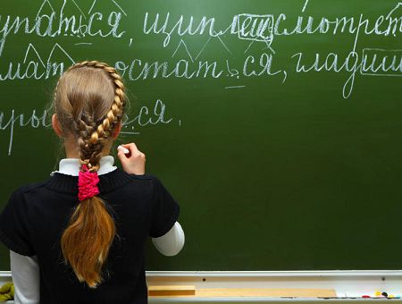 Эти «загадочные» языковые поправки: не против русского языка, а за то, чтобы у учащихся было право выбора