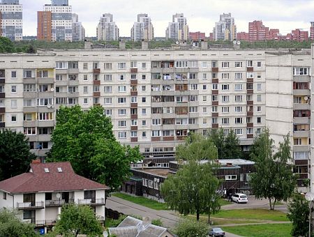 Клещи уже и в городских дворах: как защититься?