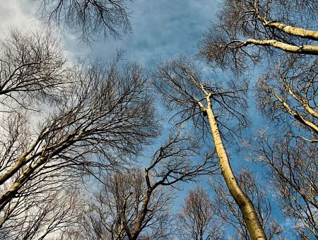 Ветер типа бури принесет в Латвию тепло и дожди: погода в среду