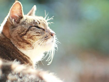 Уже до +1: погода в пятницу