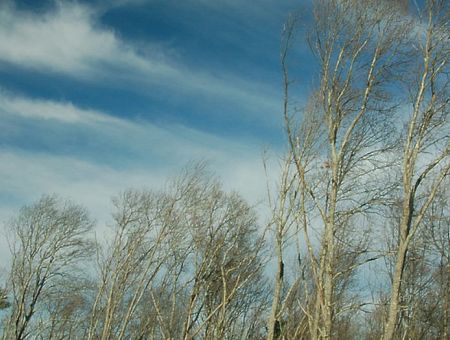 Не так страшна буря, как её прогноз: ветер будет слабее, чем ожидалось