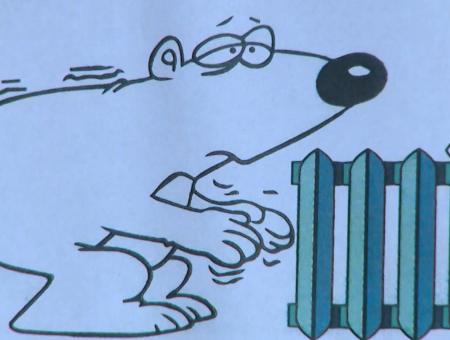 Пустые магазины и очередь до февраля: латвийцы «охотятся» за дефицитом