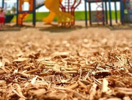 Выпрыгнул из кустов и изнасиловал: случай на детской площадке