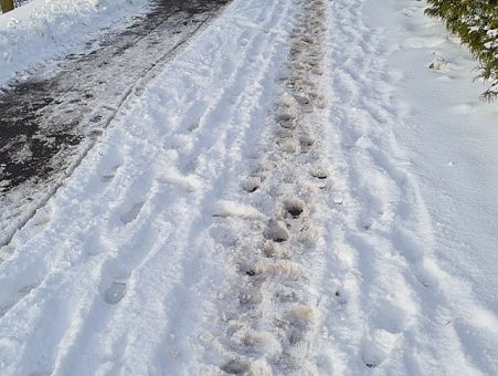 Девушки, носите с собой электрошокер! Жители Кенгарагса предупреждают о неладном Девушки, носите с собой электрошокер! Жители Кенгарагса предупреждают о неладном