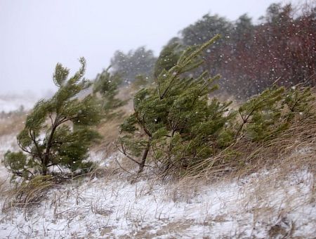 На Латвию идёт снежная буря: обновлённый прогноз на выходные