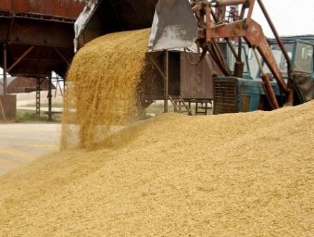 А зерно российское через Латвию гоним: объемы транзита даже растут!