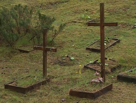 Бесхозных могилок не останется: вводятся единые нормы для кладбищ