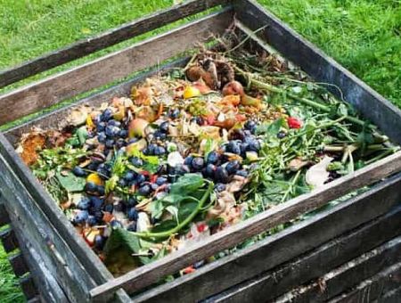 Обязательная сортировка и компостные кучи во дворах: новые правила в Риге