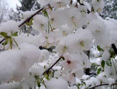 До плюс 20 и даже ветер тёплый: погода в понедельник