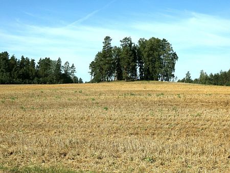 Lauksaimnieki: Vasarāju sējas darbi Latvijas reģionos rit atšķirīgā tempā