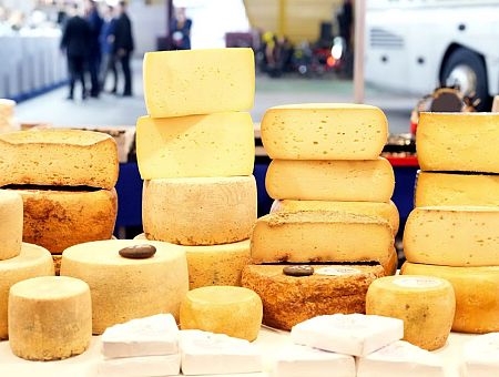 Полезнее жёлтый или белый: что нам продают под видом сыра?