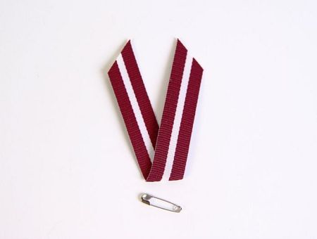 Основатели движения «Без партий» раскололись: «Латвияс авизе» Основатели движения «Без партий» раскололись: «Латвияс авизе»