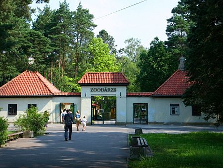 В Рижском зоопарке родился верблюжонок