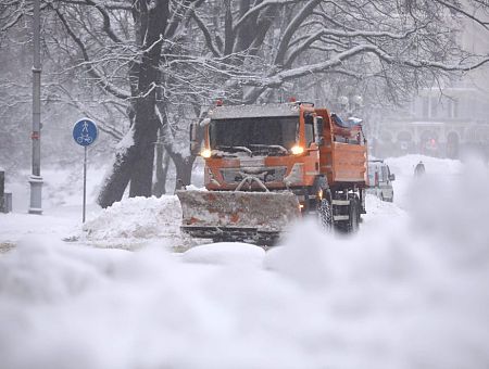 Спец по уборке дорог Латвии едет учиться в Гарвард — за четверть млн долларов: СМИ