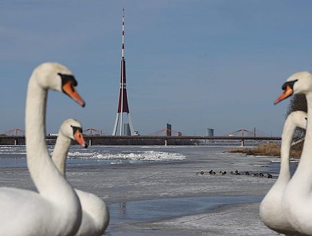 Trijās novērojumu stacijās pārspēts 7. marta siltuma rekords