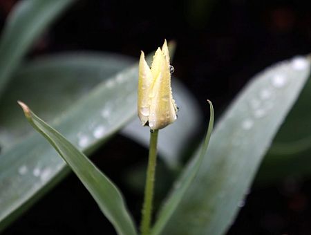 Уже в эти выходные — до плюс 15: прогноз на первую половину марта Уже в эти выходные — до плюс 15: прогноз на первую половину марта