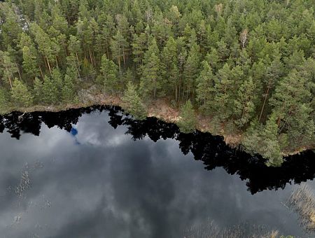 Индийцы заблудились в латвийских лесах и едва не умерли от голода: подробности Индийцы заблудились в латвийских лесах и едва не умерли от голода: подробности