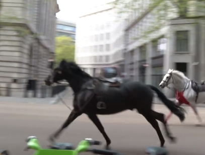 Сбежавшие лошади пронеслись по центру Лондона (ВИДЕО)