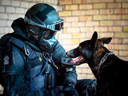 В школу нагрянул полицейский рейд с собаками: что случилось?