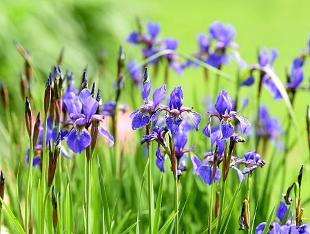 Уже до +16: погода во вторник