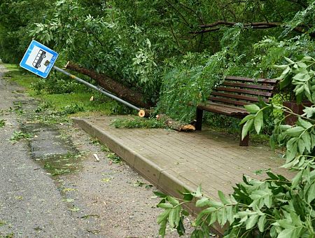 Ветер особенно мощно потрепал Ригу: десятки обращений к спасателям