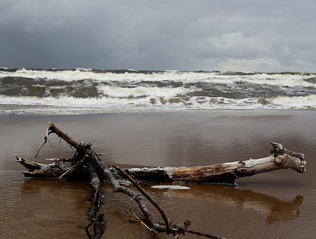 Готовимся к буре: рижан просят в воскресенье не посещать парки, игровые площадки и кладбища