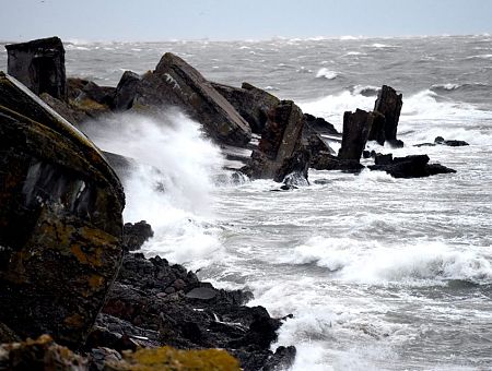 У пожарных и электриков много работы: ветер повалил деревья, дорожные знаки, сорвал кровлю