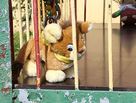 «Почему не прямо из роддома?!» Новость из Лиепаи вызвала возмущение в соцсети