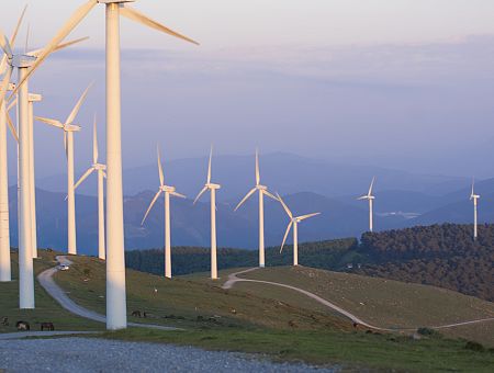 Экономист о «зеленом курсе»: единственная зелень там — это долларовые купюры