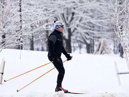 Фенолог Букшс дал прогноз на Зимние праздники: ждать ли снега по приметам?