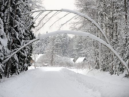 Ох, навалит ещё