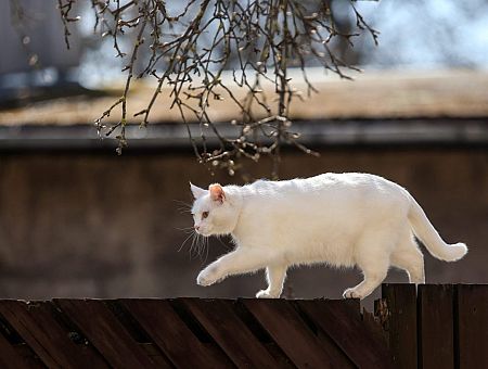 Labots 9. marta siltuma rekords Latvijā