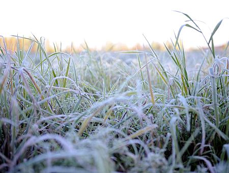 Ночью в Латвии подморозило до минус 5: что будет днём?