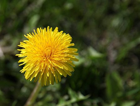 До+20 на следующей неделе?! Синоптики спорят