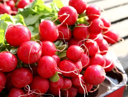 Восемь евро за редиску? Да дешевле бухать! Люди шокированы ценами на овощи Восемь евро за редиску? Да дешевле бухать! Люди шокированы ценами на овощи